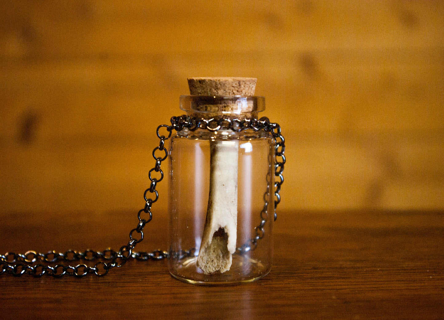 Bone in Glass Bottle Necklaces