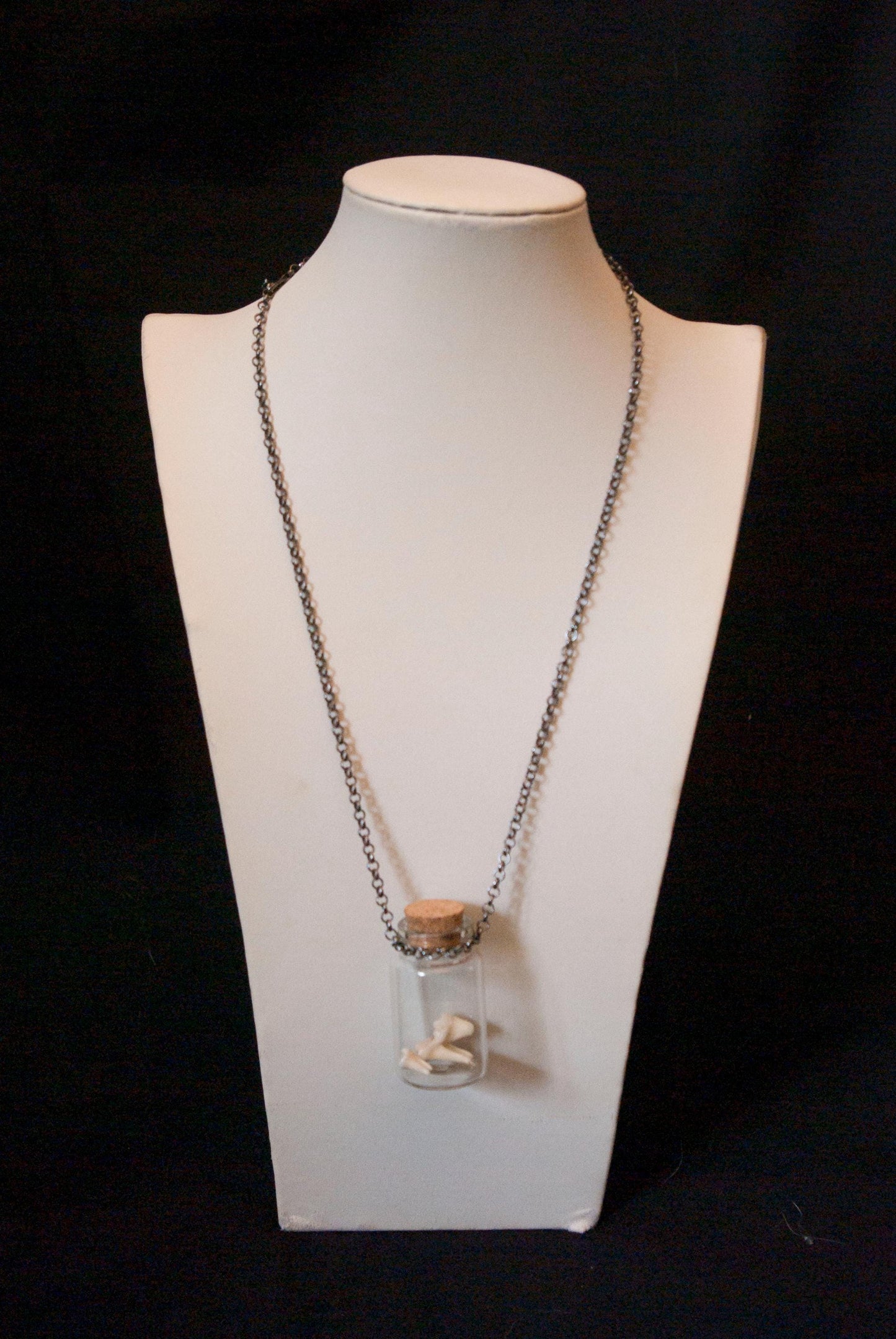 Bone in Glass Bottle Necklaces
