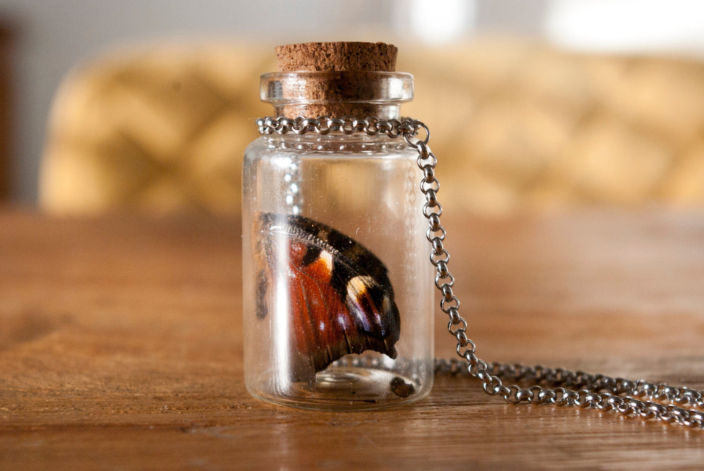 Butterfly in Glass Bottle Necklace