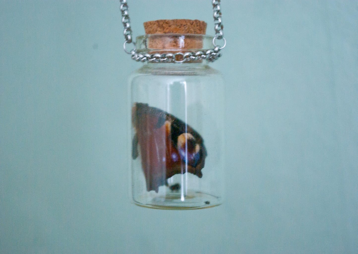 Butterfly in Glass Bottle Necklace