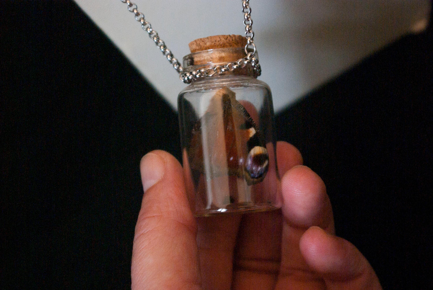 Butterfly in Glass Bottle Necklace