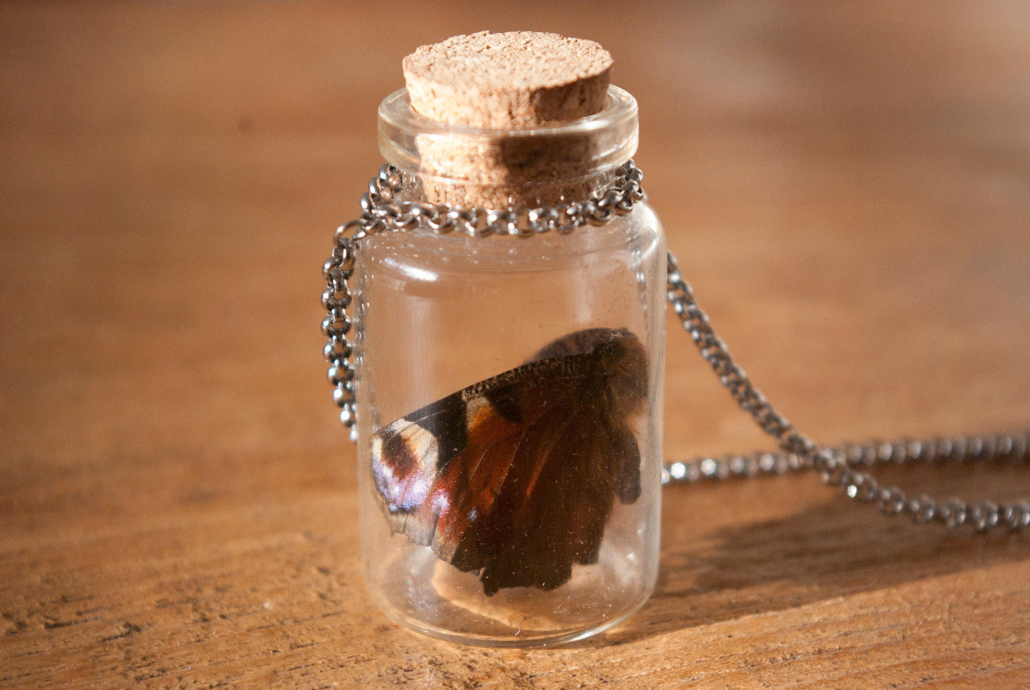 Butterfly in Glass Bottle Necklace