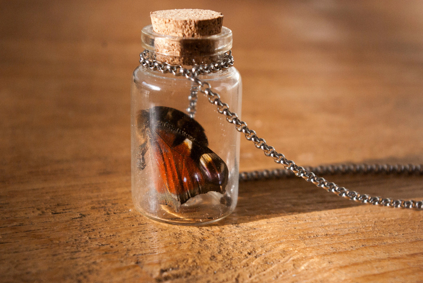 Butterfly in Glass Bottle Necklace