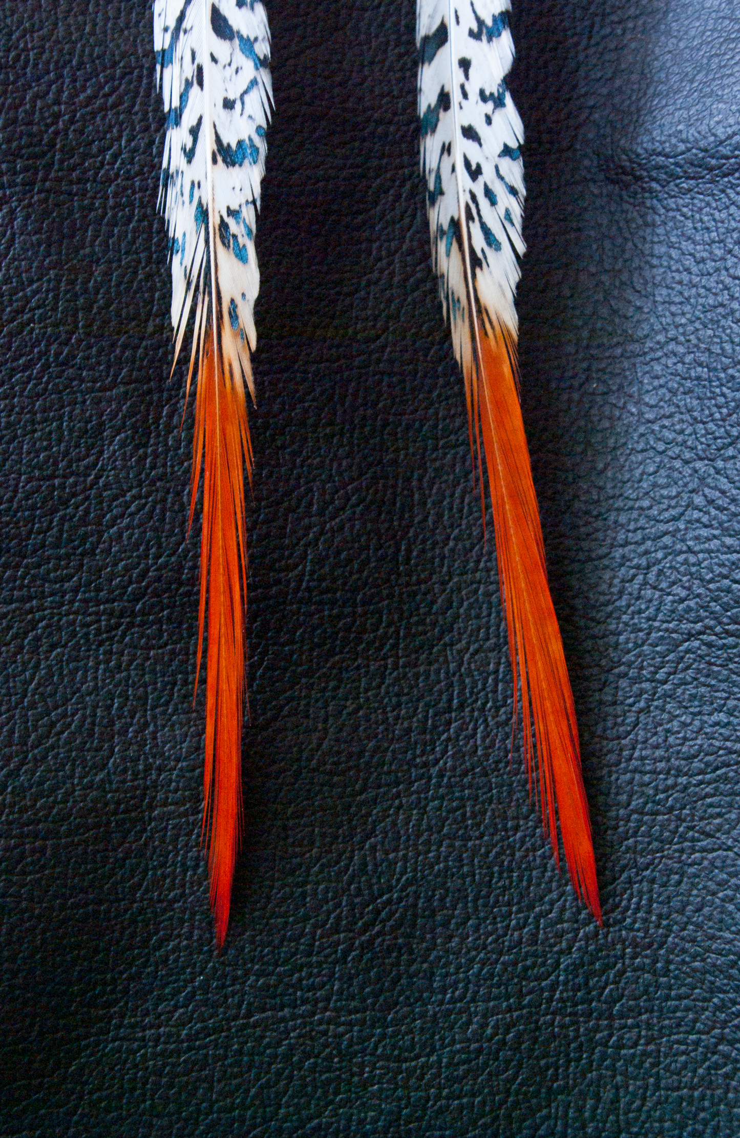 Feather Earrings