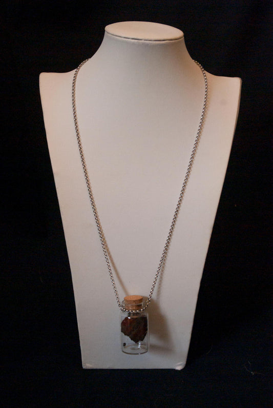 Butterfly in Glass Bottle Necklace