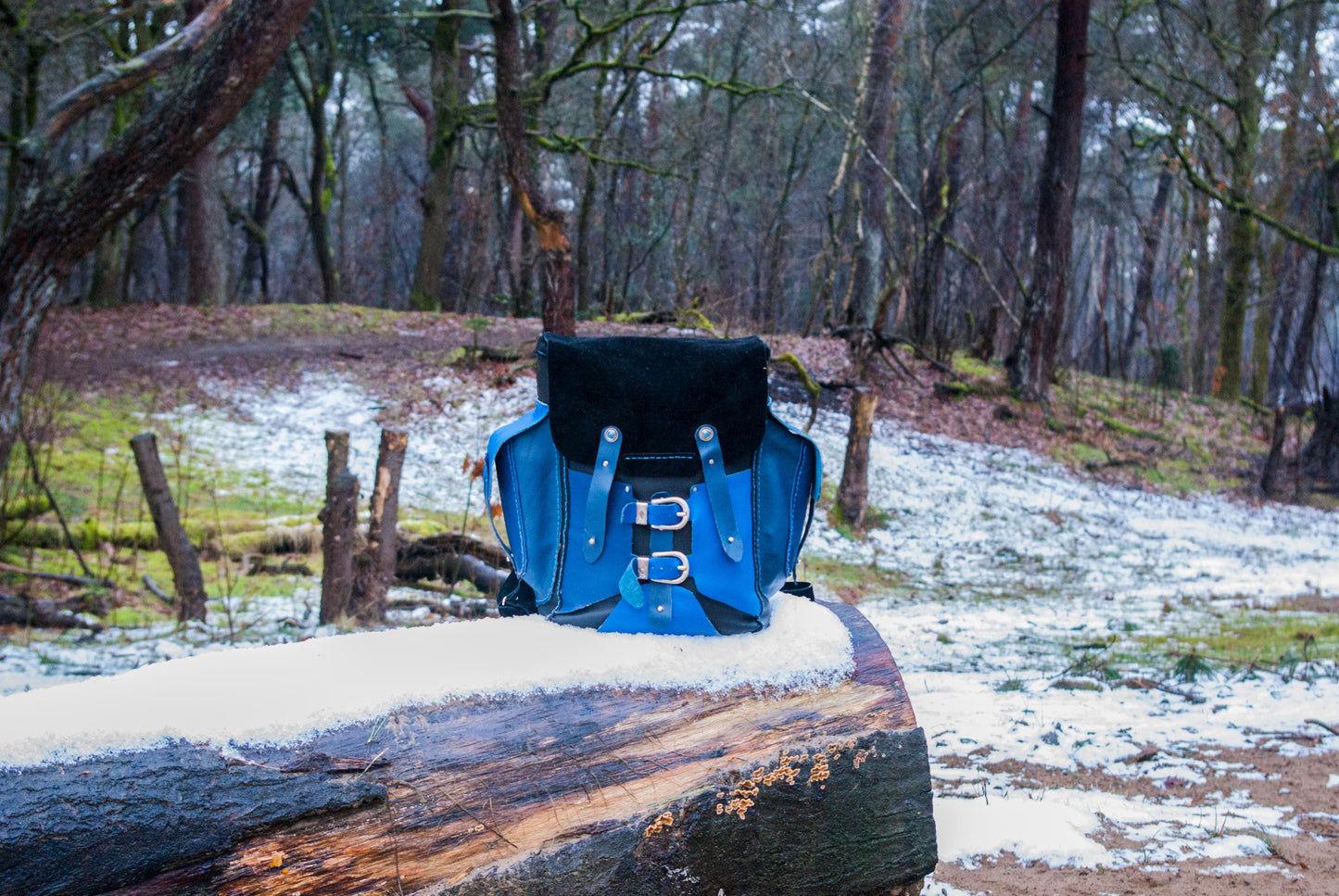 Small Backpack