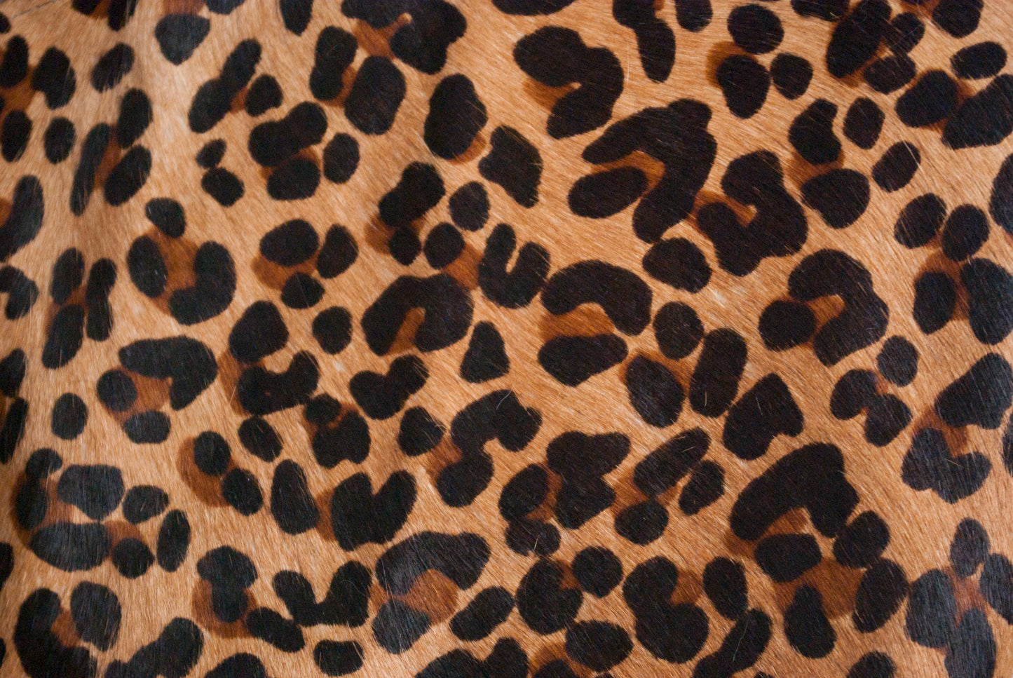 Leopardprint Top